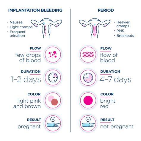 does uterus feel hard after positive pregnancy test|early signs of pregnancy after conception.